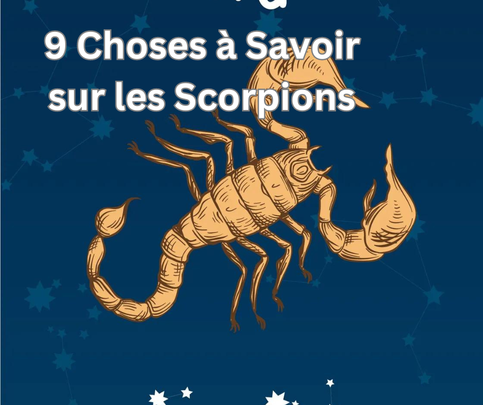 9 Choses à Savoir sur les Scorpions image d'avant